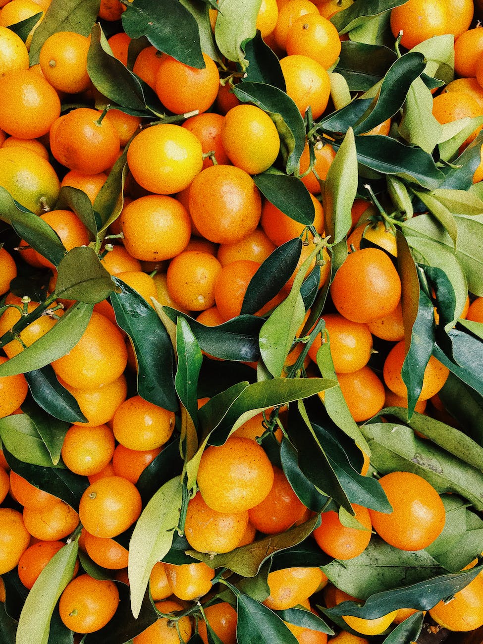 photo of pile of oranges